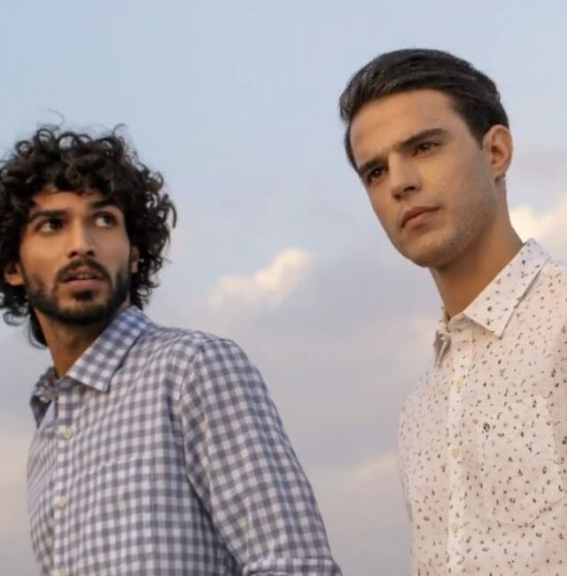 WAHL Beard Easy Groom Kit